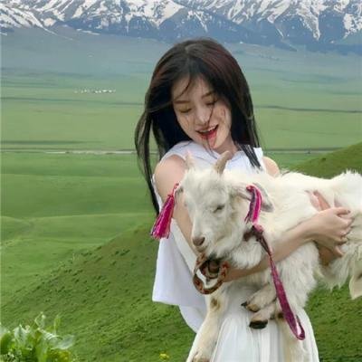 狮子王2019封面